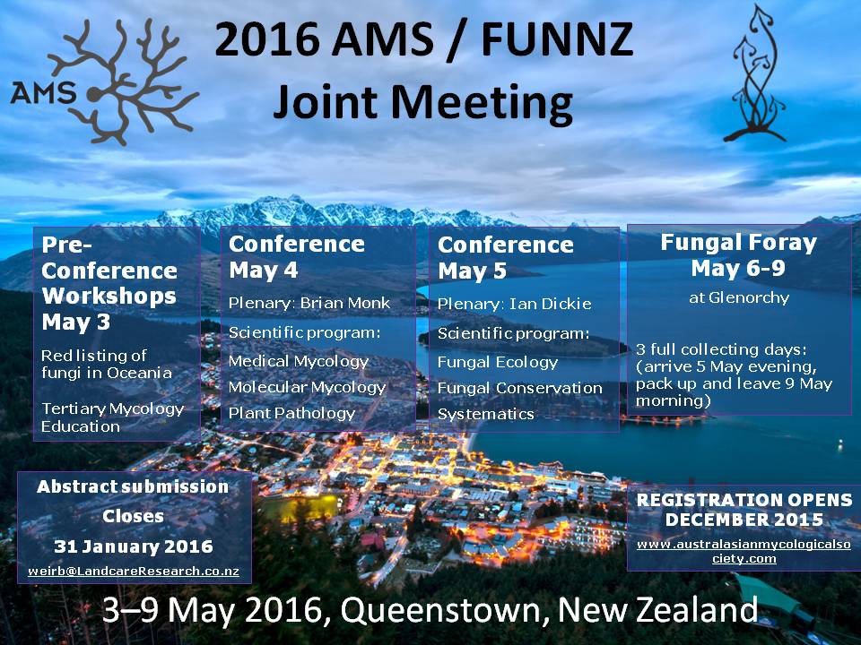 AMS FUNNZ 2016 conference flyer
