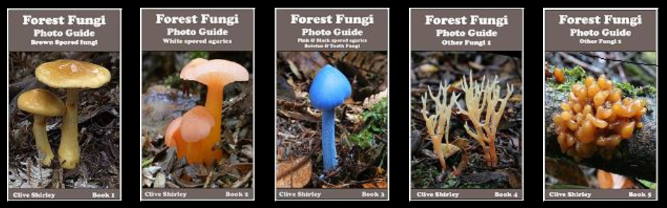 Forest Fungi Photo Guide - Book 3