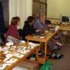 Wanda, Elsa, and Shaun databasing specimens