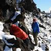 Maj and Ben collecting alpine rust and lichens