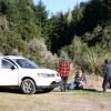 lunch time in Pureora forest