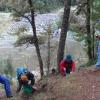 Truffle hunt, Waipori Picnic Area