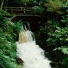 Model Kauri Dam (1/3 of size of original dams)