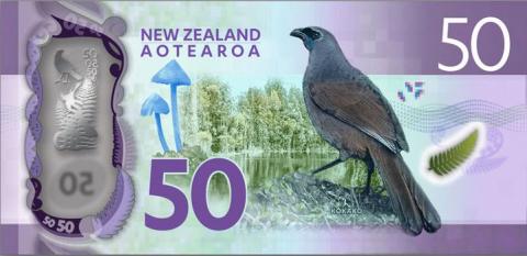 Entoloma hochstetteri NZ 50$ note